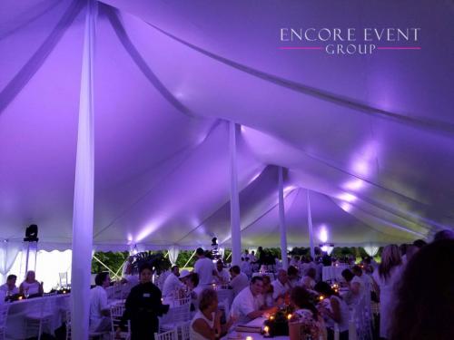 lavender_tent_uplighting_in_mi