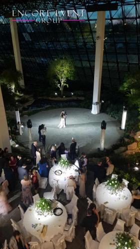 southfield_westin_pinspot_uplighting_rental