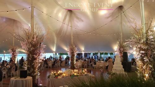 wyandotte_michigan_wedding_lighting