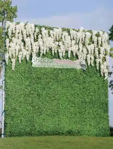 boxwood wisteria flower wall min boxwood wisteria flower wall min