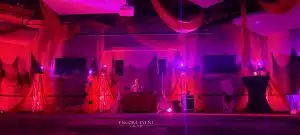 halloween themed wedding dj lighting scaled halloween themed wedding dj lighting scaled