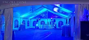 Wedding DJ entertainment at reception Wedding DJ entertainment at reception