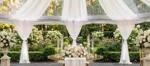 clear span tent fabric cover poles min scaled clear span tent fabric cover poles min scaled