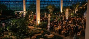 light_strand_for_wedding_rental_near_louisville-min