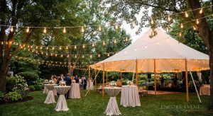 photo_of_backyard_string_lights_and_sail_cloth_tent