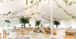 southern_smilax_string_lights_kentucky_wedding2-min