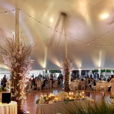 Southern Indiana tent uplighting with LED lights