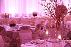 blush salmon uplight on pipe and drape scaled blush salmon uplight on pipe and drape scaled