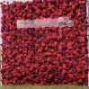 Red rose flower wall for Kentucky events