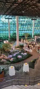 daytime string lights overview scaled daytime string lights overview scaled