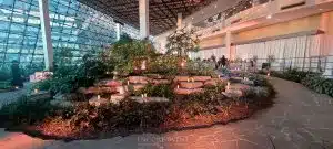 daytime string lights sideview scaled daytime string lights sideview scaled