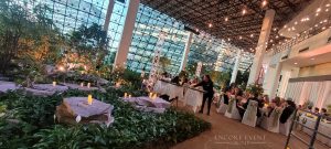 daytime string lights wide view scaled