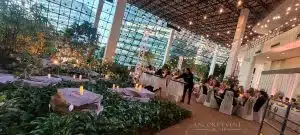 daytime string lights wide view scaled daytime string lights wide view scaled