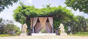 terrlis_arbor_with_draping (1)