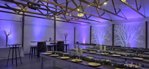 purple_uplighting_sellersburg venue